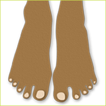 Feet Facts